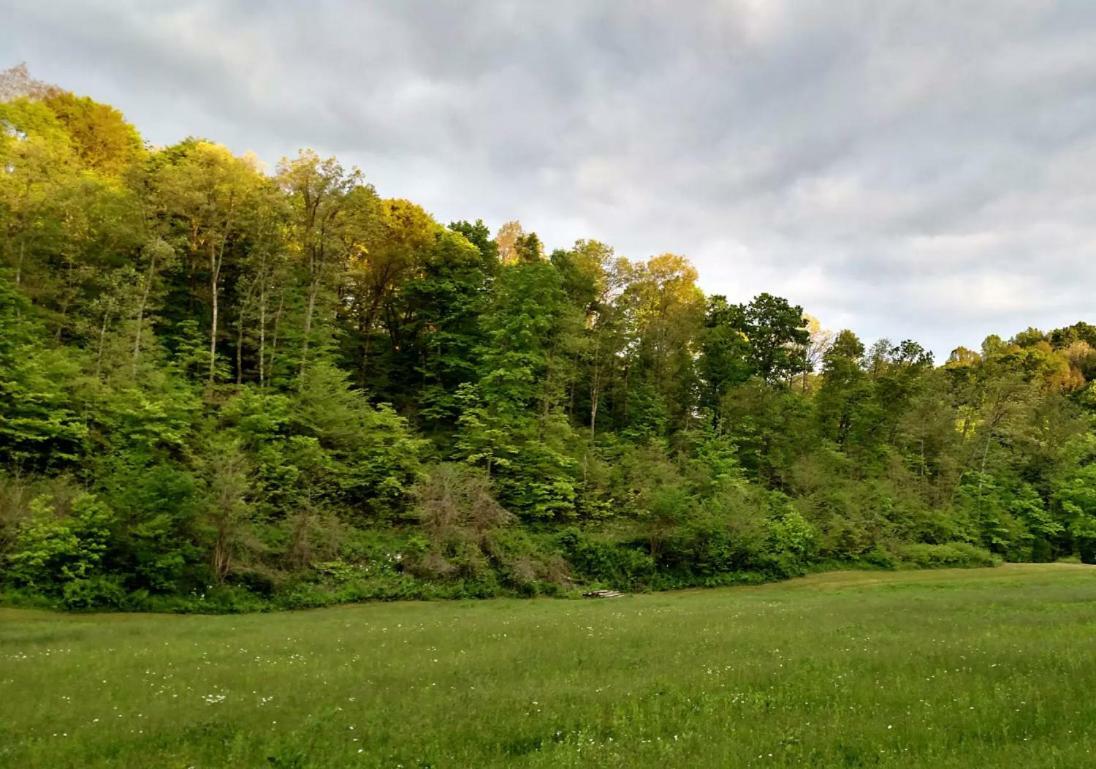 Campsite Altenbrauch Farm - In The Hocking Hills *