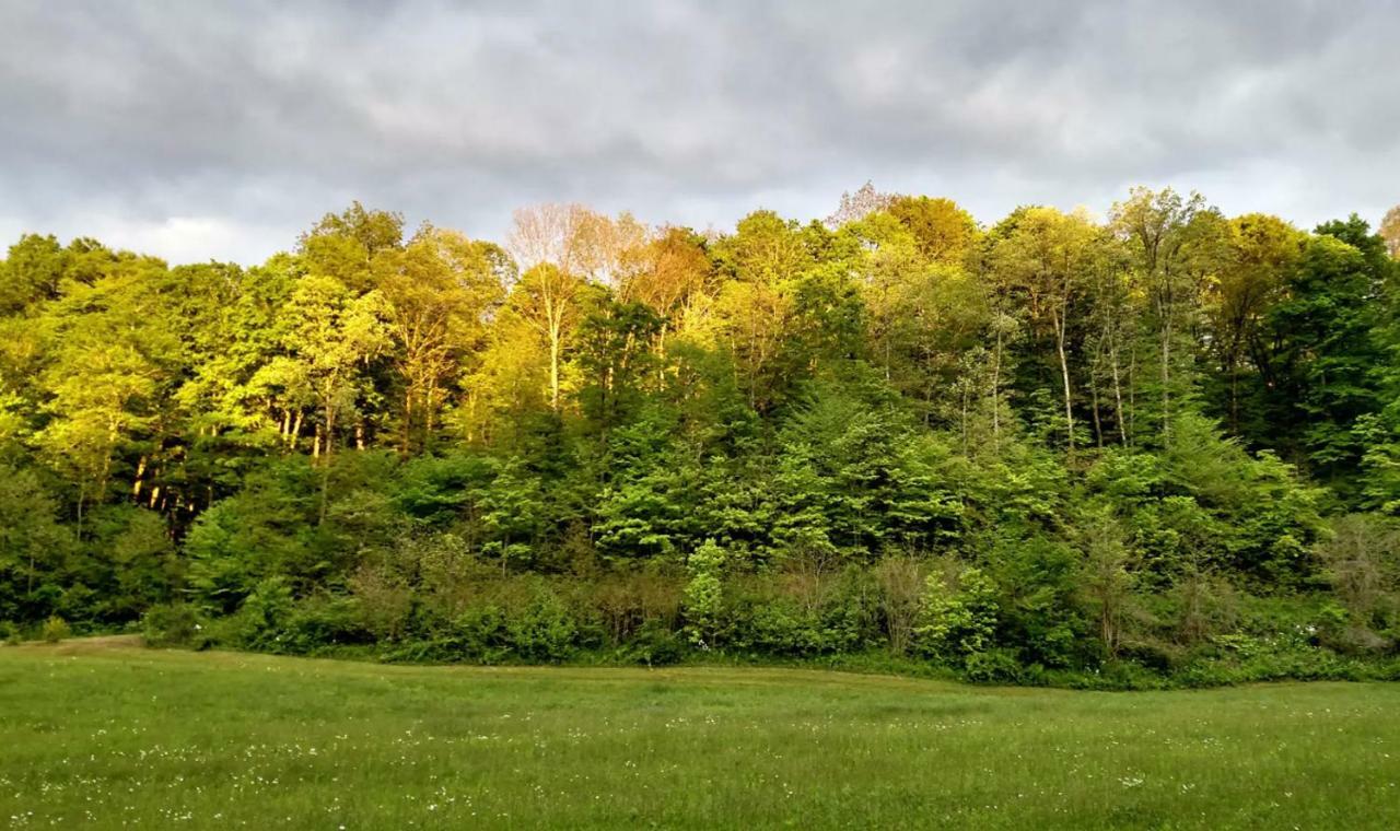 Altenbrauch Farm - In The Hocking Hills Campsite *