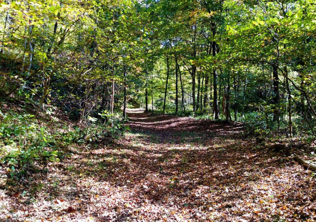 Campsite Altenbrauch Farm - In The Hocking Hills